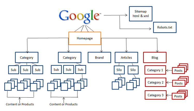 Website Hierarchical Structure